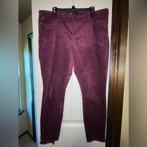 Gap women’s pants